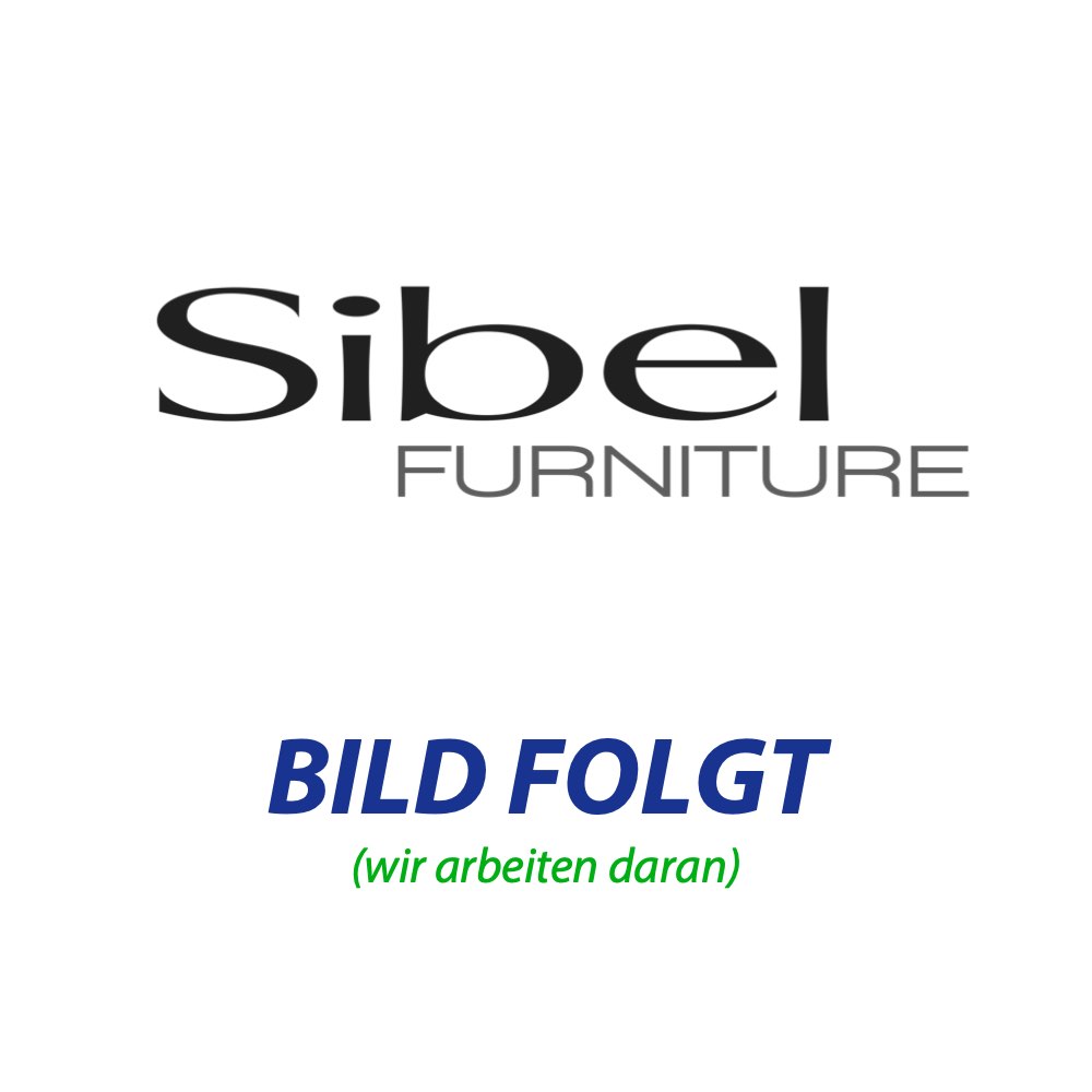 Sibel Färbepinsel Precision