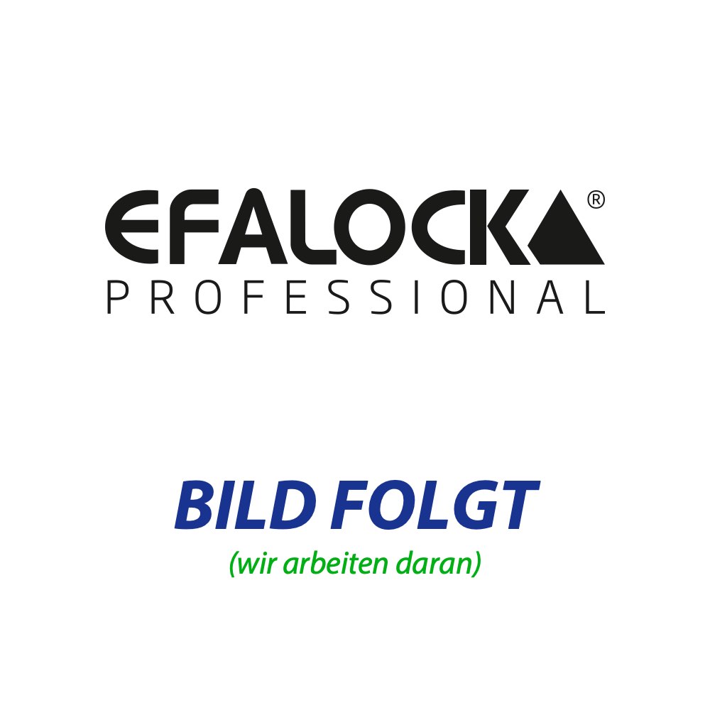 ---B-Ware--- Efalock 3Style Professional Airstyler